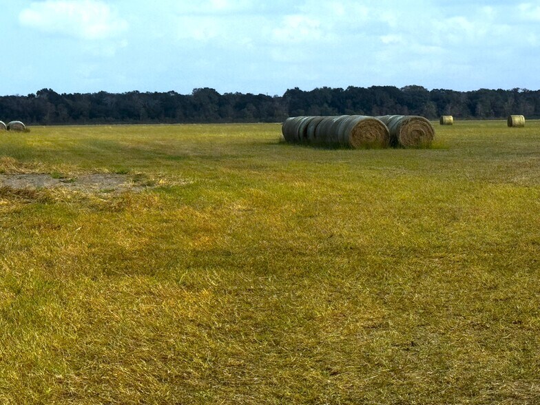 More Photos Of 0 0 CR 321, Louise Land For Sale