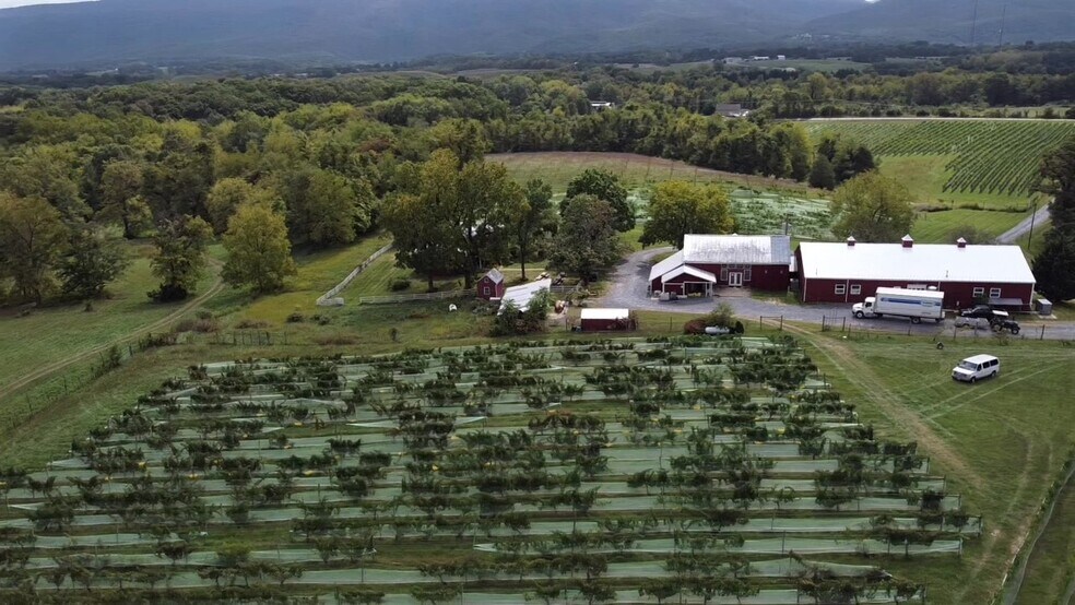 More Photos Of 3659 S Ox Rd, Edinburg Winery Vineyard For Sale
