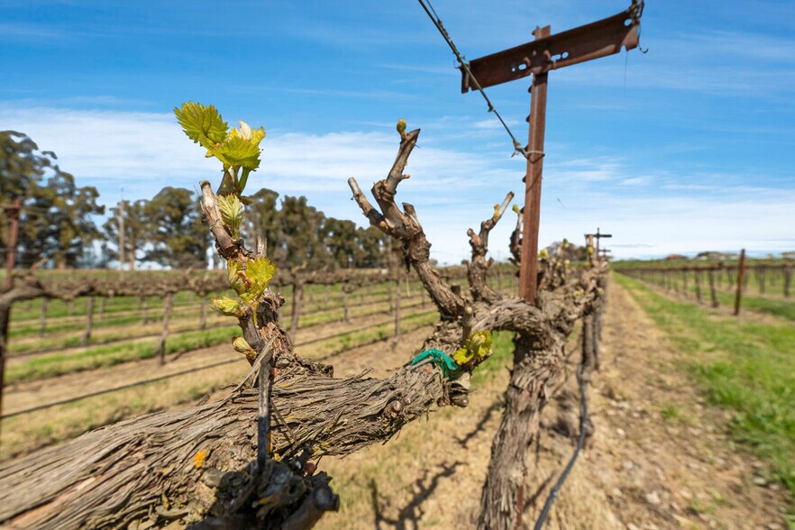 More Photos Of 16550 River Road, Isleton Land For Sale