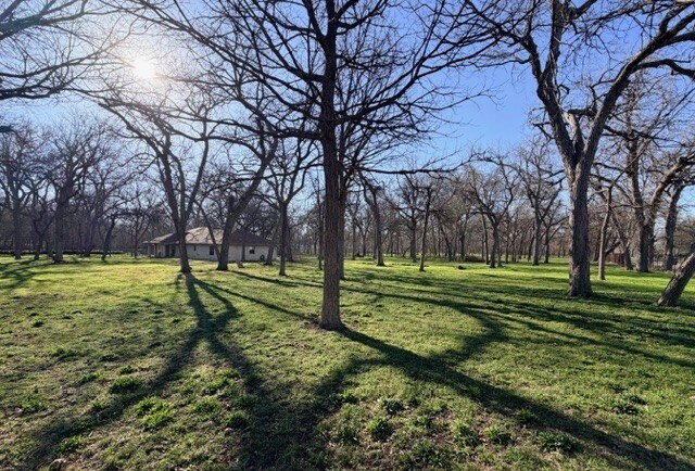 More Photos Of 75 County Road 129, Taylor Land For Sale