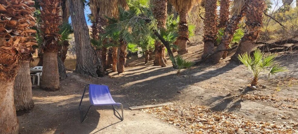More Photos Of 160 +/- Acres Juanita Springs Ranch, Bunkerville Land For Sale
