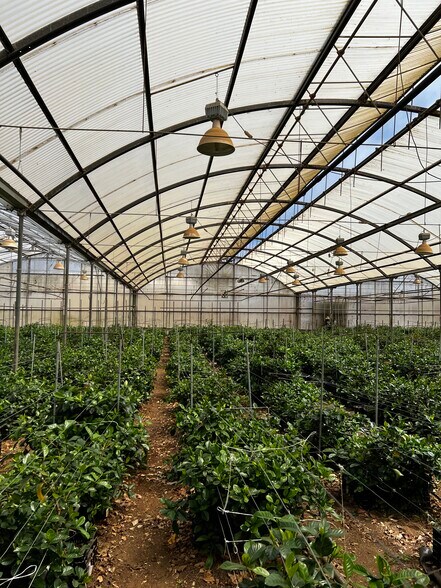 More Photos Of 489 San Andreas Rd, Watsonville Land For Lease