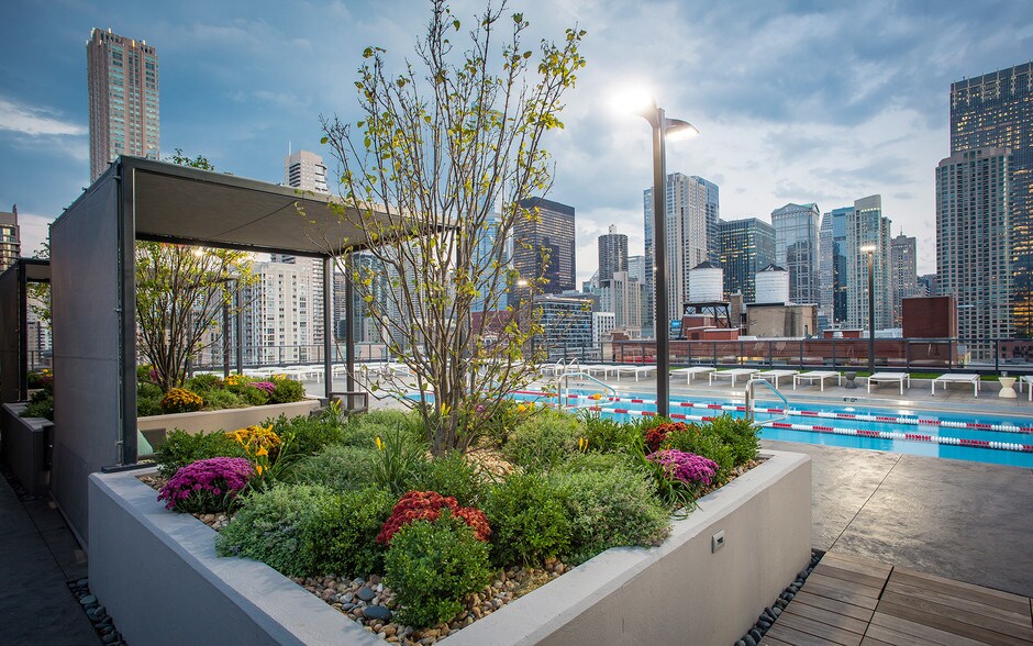 More Photos Of 637-643 N Wells St, Chicago Apartments For Lease