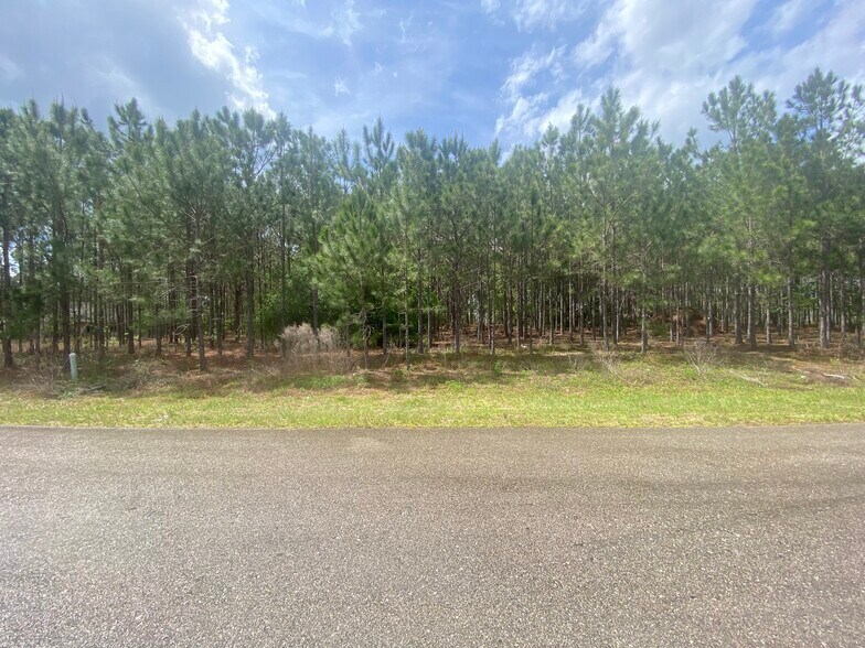 Primary Photo Of Aspen Ave., Ocala Land For Sale