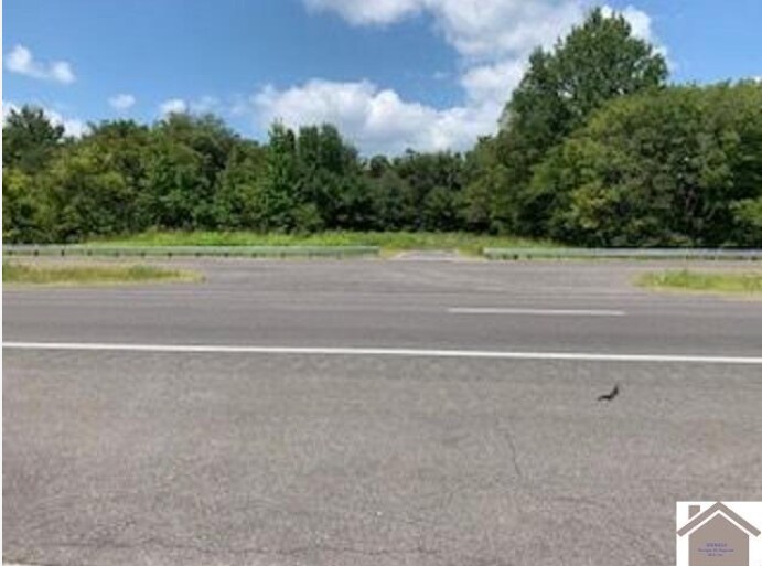 More Photos Of 8445 Old Highway 60 West, West Paducah Land For Sale