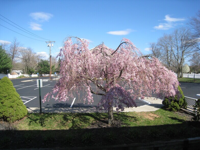 More Photos Of 295-299 Washington Ave, Hamden Medical For Lease