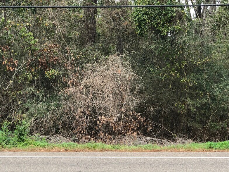 More Photos Of Hwy 190 and Hwy 22, Mandeville Land For Lease