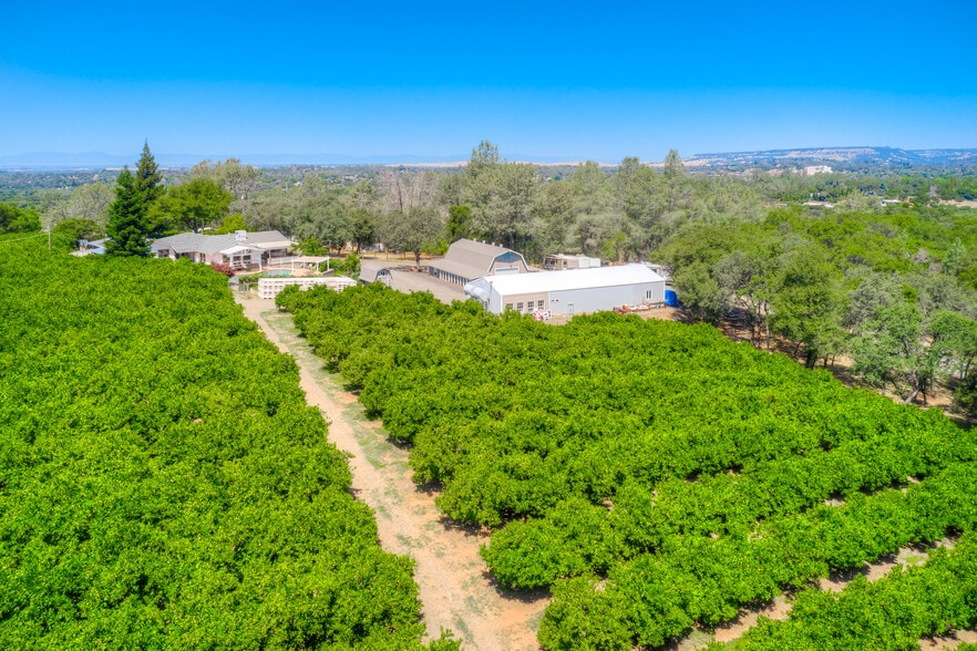 More Photos Of 78 Circle View Dr, Oroville Winery Vineyard For Sale