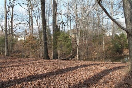 More Photos Of 2305 Fairview Blvd, Fairview Land For Lease