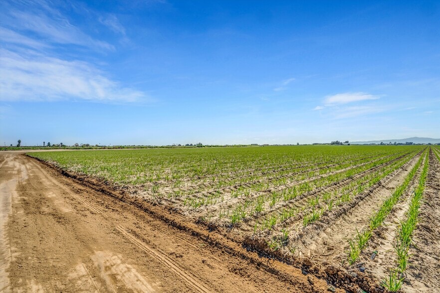 More Photos Of 6450 Delta Ave, Tracy Land For Sale