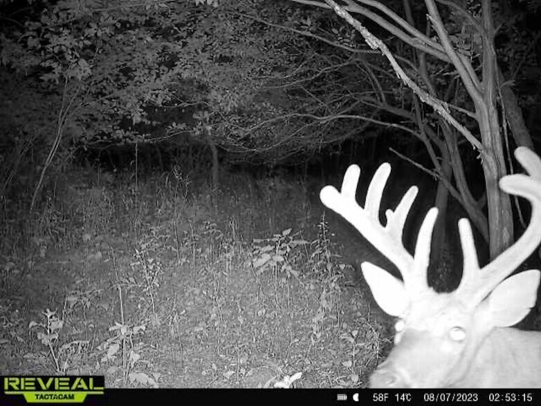 More Photos Of Fisher Road, Iola Land For Sale