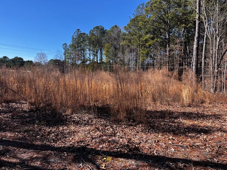 More Photos Of 1284 NC 50, Benson Land For Sale
