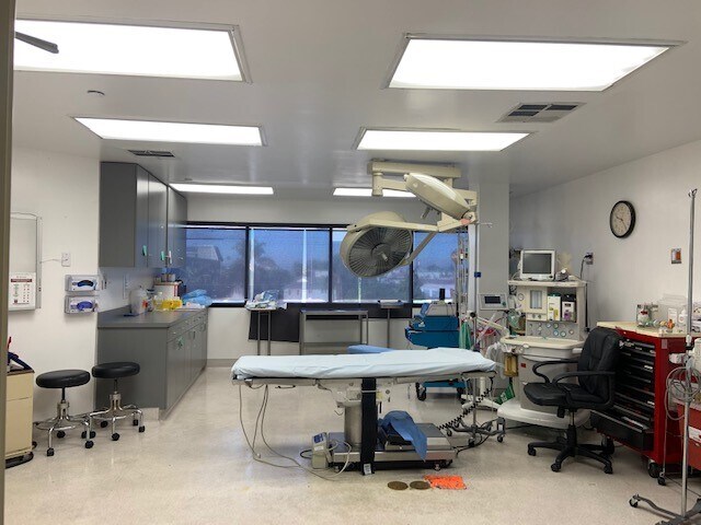 More Photos Of 1141 N Brand Blvd, Glendale Medical For Lease