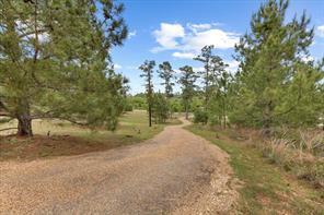 More Photos Of 178 Pine Tree Loop, Bastrop Lodge Meeting Hall For Sale