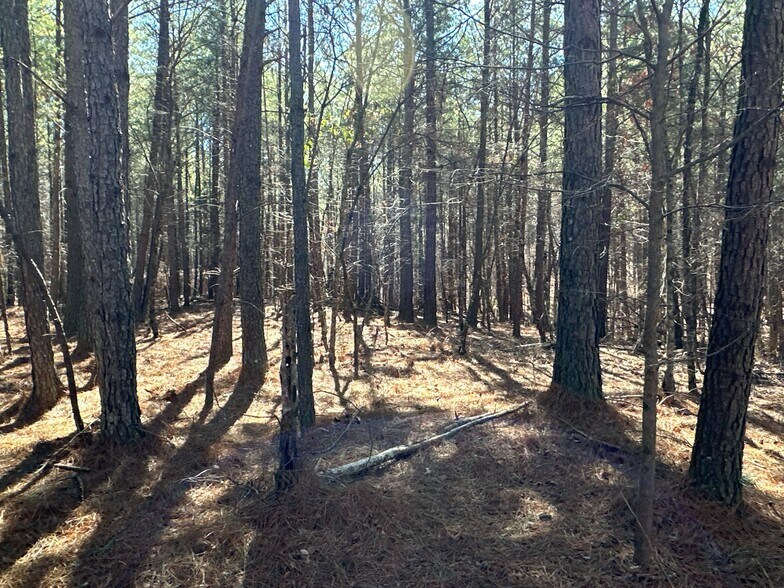 More Photos Of 3472 Prior Station Rd, Cedartown Land For Sale