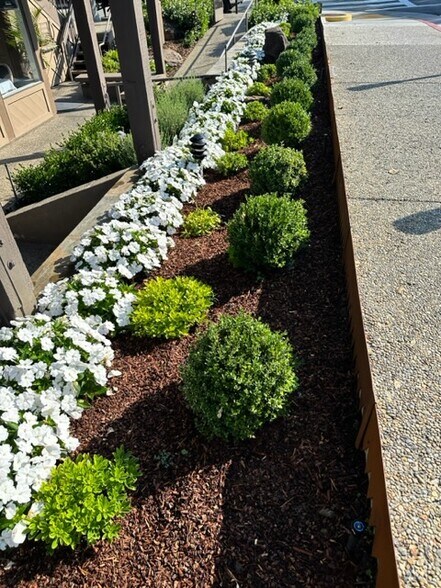 More Photos Of 401 Primrose Rd, Burlingame General Retail For Lease