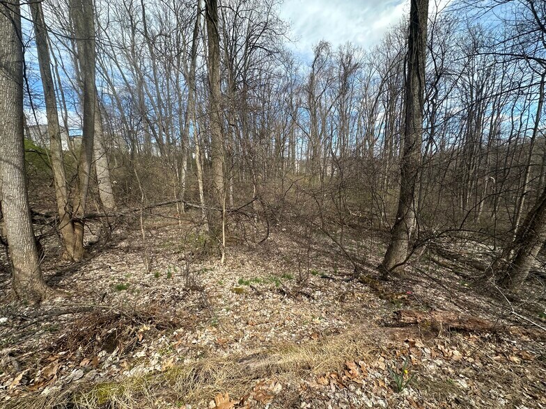 More Photos Of Off VanVoorhis Rd on Mike Street, Morgantown Land For Sale