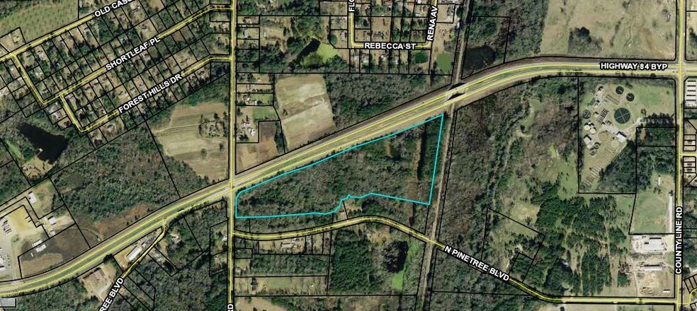 Primary Photo Of US Hwy 84 Byp @ Cassidy Road, Thomasville Land For Sale