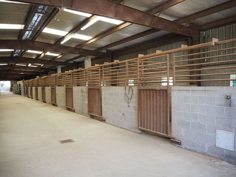 More Photos Of 1721 General Collins Ave, New Orleans Specialty For Sale