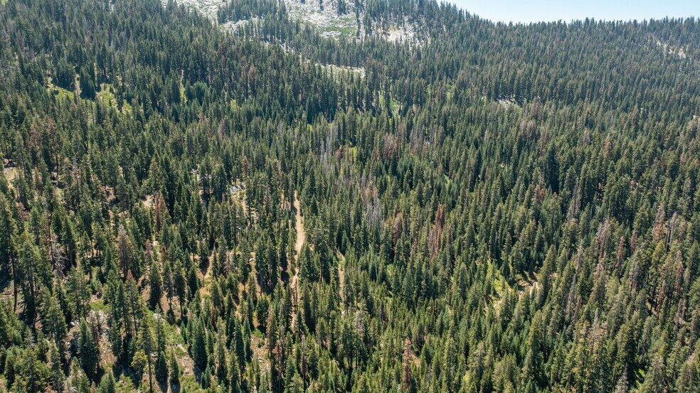 More Photos Of 65745 Big Meadows Road, Kings Canyon National Pk Land For Sale