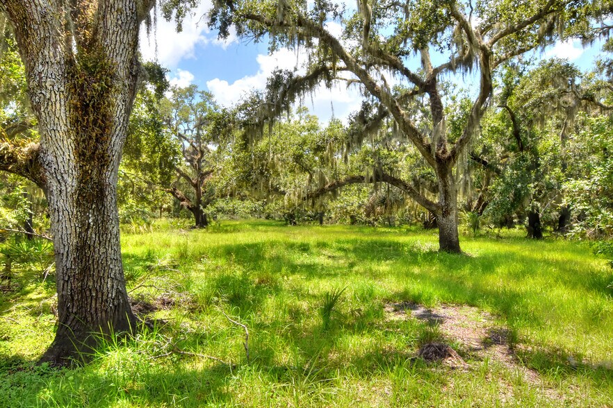 More Photos Of 6838 Mary Lou Dr, Riverview Land For Sale