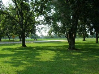 More Photos Of 26953 Highway 181, Daphne Land For Sale