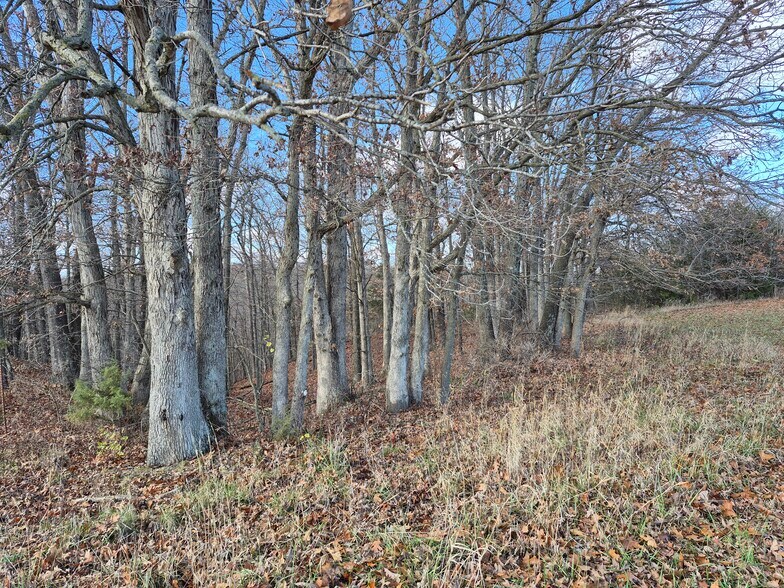 More Photos Of Logan School Rd. (30.2+/- Acres), New Florence Land For Sale