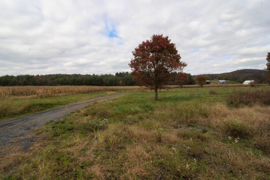 More Photos Of 16094 Evergreen Valley Rd, Timberville Specialty For Lease