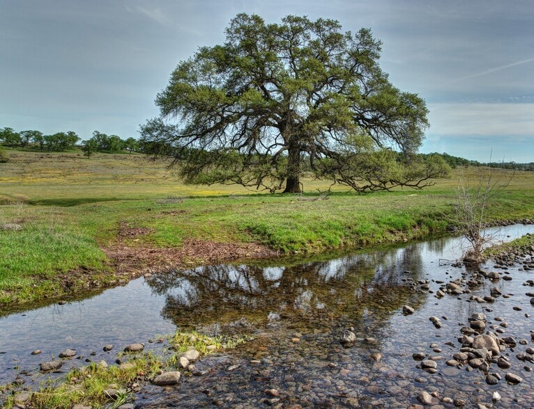 More Photos Of 295 Honey Run Road run, Chico Land For Sale