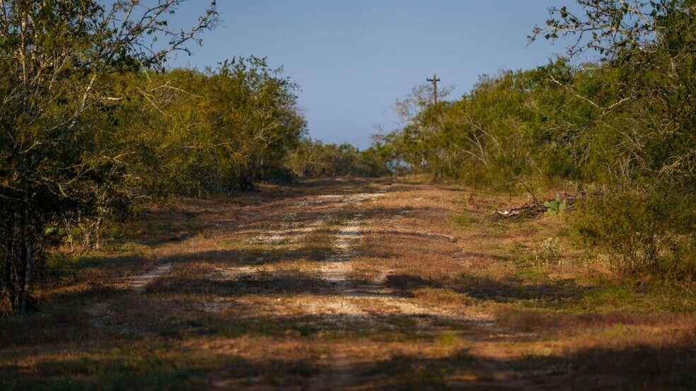 More Photos Of 879 County Road 421, Gonzales Land For Sale