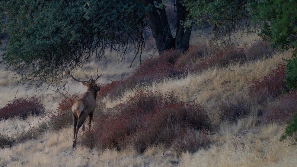 More Photos Of 47069 Crump Ln, Coalinga Land For Sale