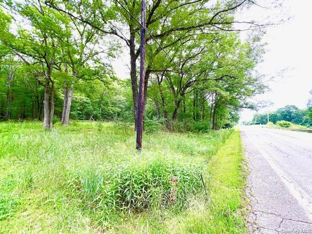 More Photos Of 7584 NY-97, Narrowsburg Land For Sale