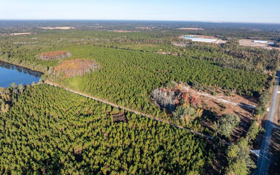 More Photos Of CR 137, Wellborn Land For Sale