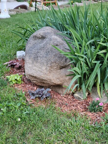 More Photos Of 36026 Jewell Ct, Earlham Land For Sale