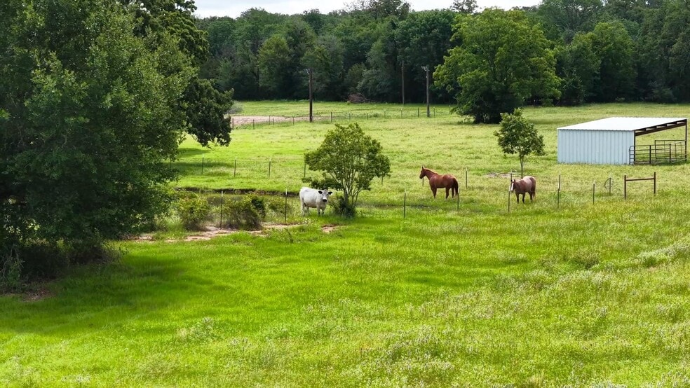 More Photos Of 632 County Road 340A, Milano Land For Sale
