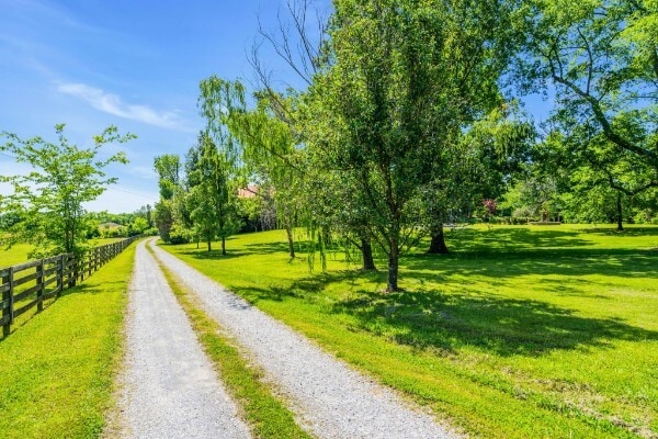 More Photos Of 1112 Franklin Rd, Brentwood Specialty For Sale