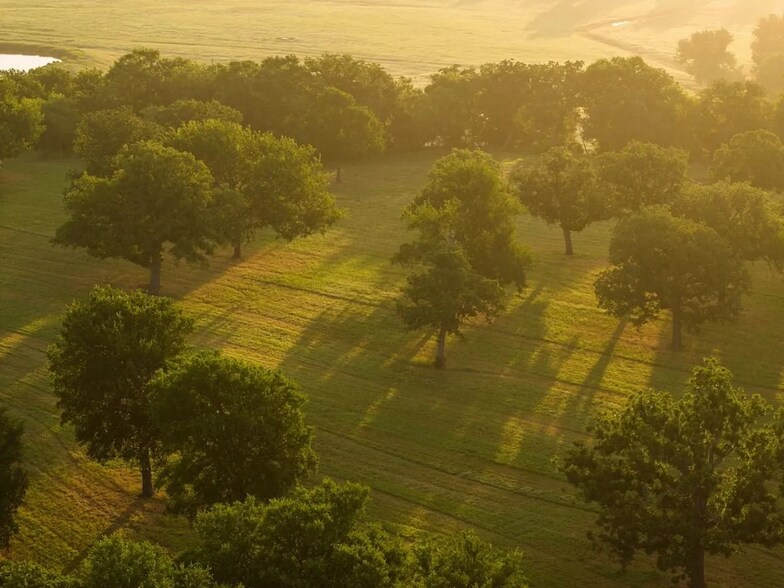 More Photos Of 0 County Road 328, Era Land For Sale