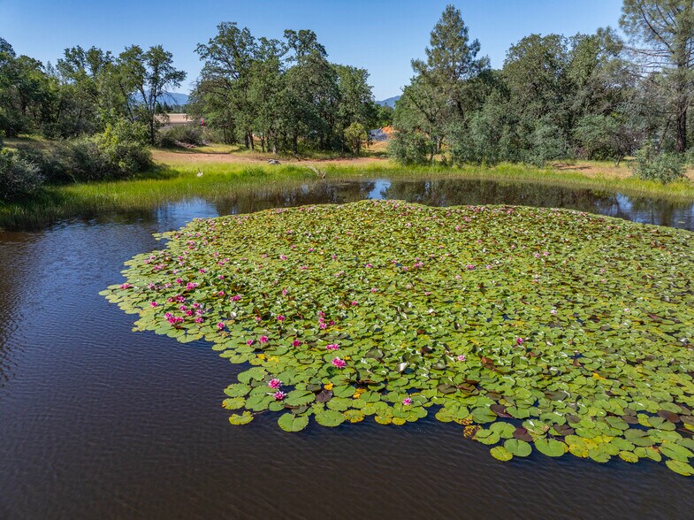 More Photos Of 11050 Campers ct, Redding Land For Sale
