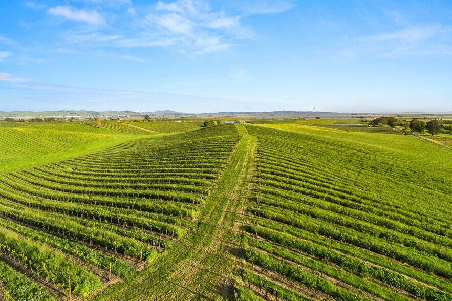 More Photos Of 2750 Las Amigas Rd, Napa Winery Vineyard For Sale