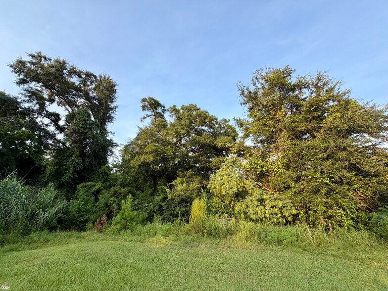 More Photos Of 0 Odom Lane, Chatom Land For Sale