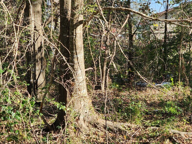 More Photos Of 106 Rondinaud Rd, Donaldsonville Land For Sale