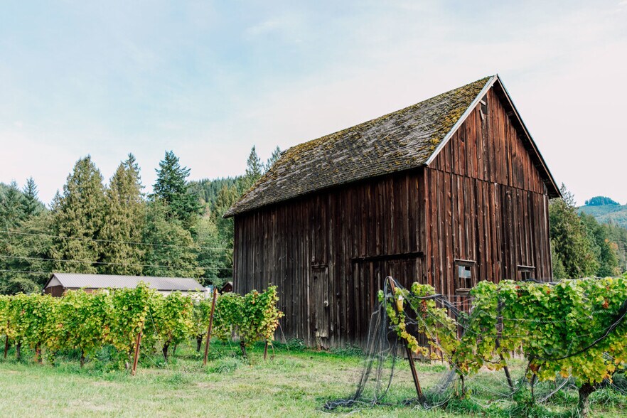 More Photos Of 4290 Mt Baker hwy, Everson Winery Vineyard For Sale