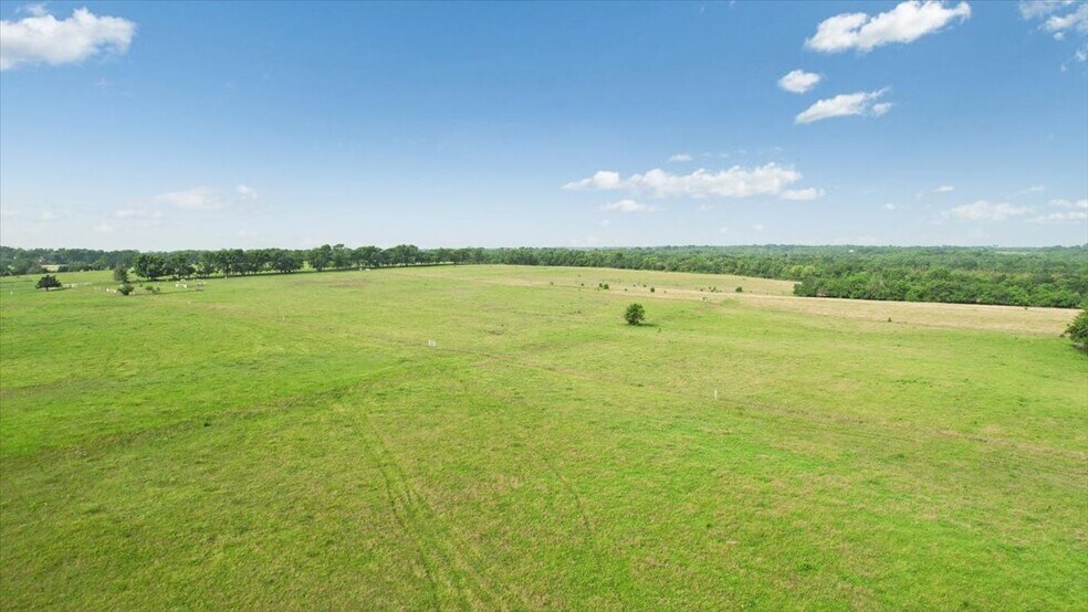 More Photos Of TBD Farm to Market Road 100, Honey Grove Land For Sale
