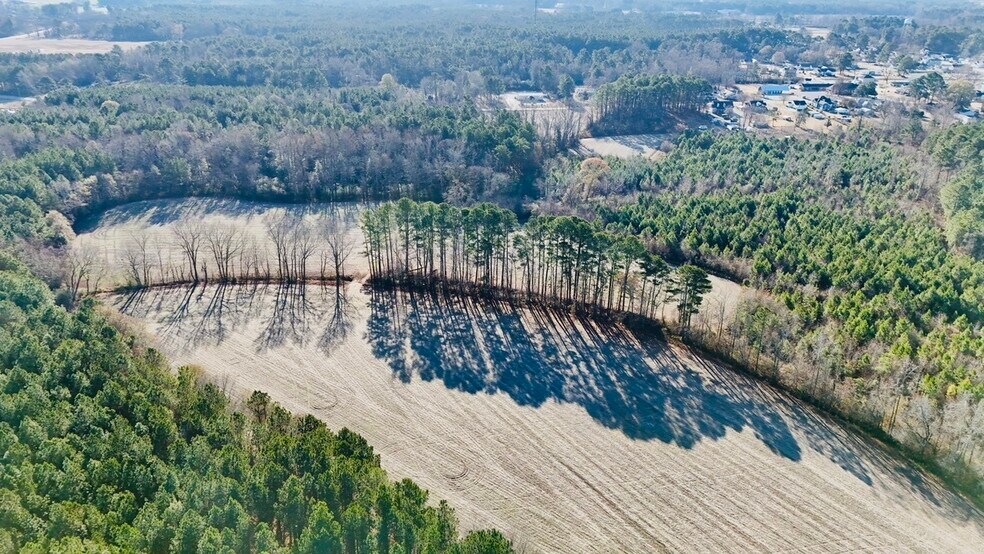 More Photos Of US Highway 301 N, Micro Land For Sale