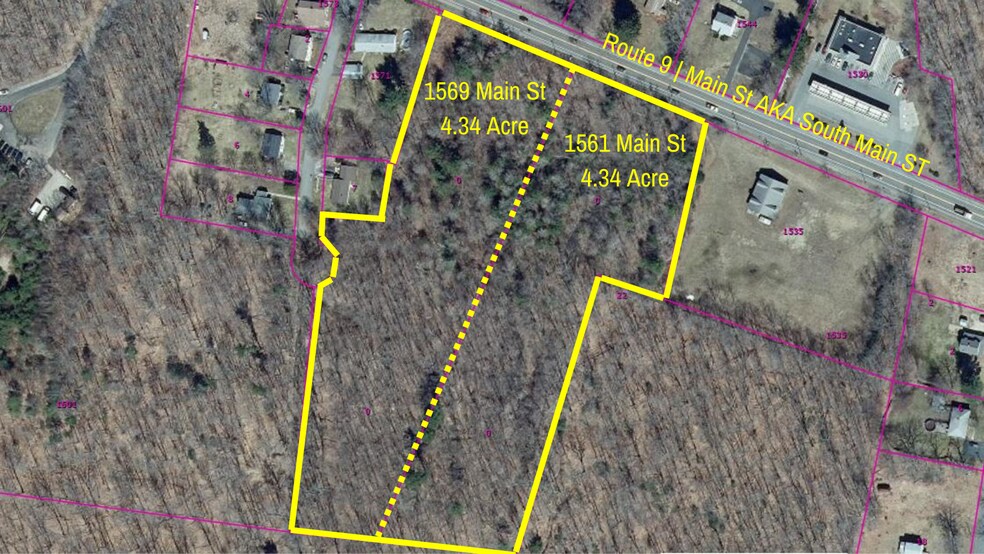 More Photos Of 1561 Main St., Leicester Land For Sale
