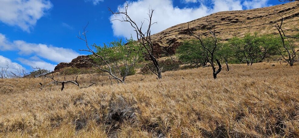 More Photos Of 87-472 Hakimo Rd, Waianae Land For Sale