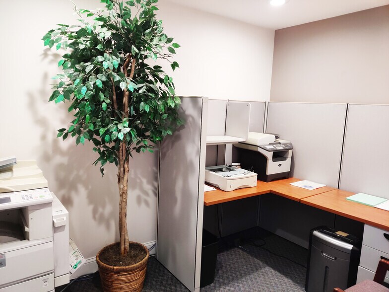 More Photos Of 5641-5699 Columbia Pike, Falls Church Medical For Lease