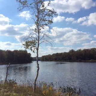 More Photos Of 870 County Route 60, Newton Falls Land For Sale