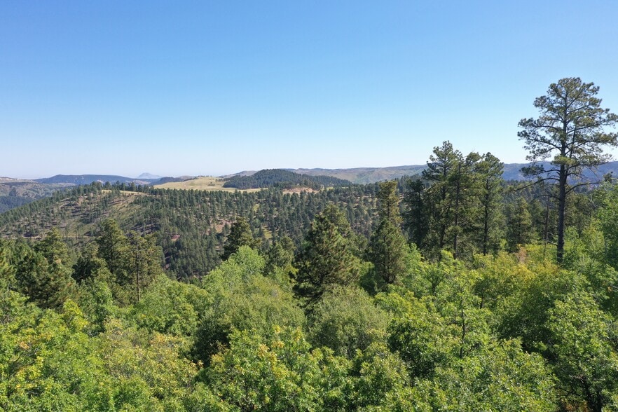 More Photos Of TBD Cutting Mine Rd., Lead Land For Sale