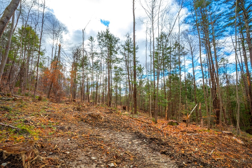 More Photos Of 40 E Putney Brook Rd, Putney Land For Sale